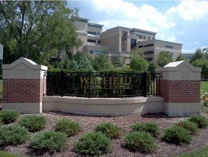 Winfiled IL