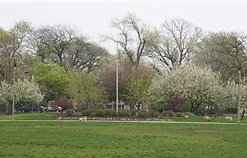 Independence Park, IL – Free Pickup and Delivery (312) 393-7950 – Call To Schedule